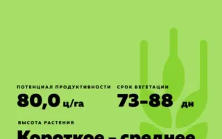 Мироновский 86 / Миронівський 86