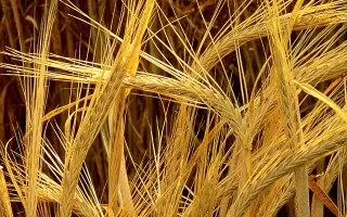 Переможный / Переможний