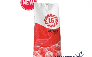 Aspect / Аспект