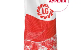 Aurelia / Аурелія