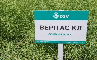 Veritas CL / Верітас КЛ