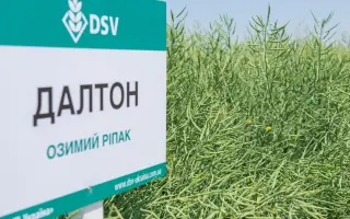 Dalton / Далтон