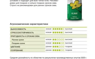 Jumper / Джампер