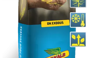 DK Exodus / ДК Екзодус