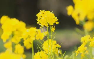 DK EXBURY / ДК ЕКСБЕРІ