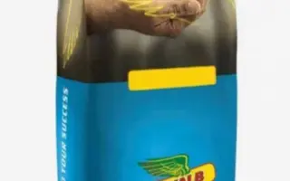 DK Exception / ДК Ексепшн