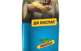 DK EXPAT / ДК ЕКСПАТ