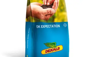 DK EXPECTATION / ДК ЕКСПЕКТЕЙШН