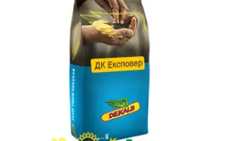 DK Expower / ДК Експовер