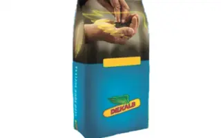 DK Exprit / ДК Експріт