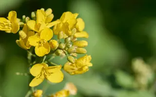 DK Extime / ДК Екстайм