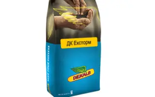 DK Exstorm / ДК Ексторм