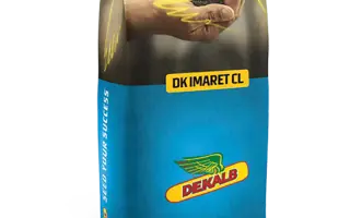 DK Imaret CL / ДК Імарет КЛ