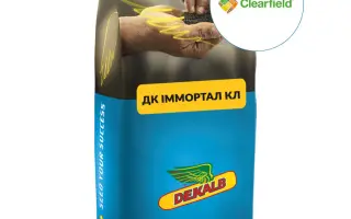 DK IMMORTAL CL / ДК ІММОРТАЛ КЛ