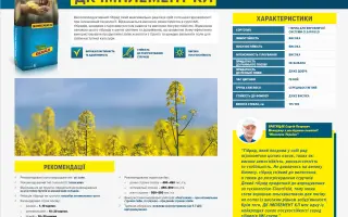 DK Implement CL / ДК Імплемент КЛ