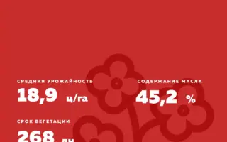 DK Impression CL / ДК Імпрешн КЛ