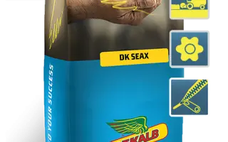 DK Seax / ДК Сеакс