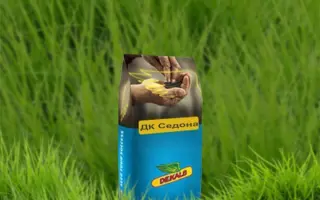 Dk Sedona / ДК Седона