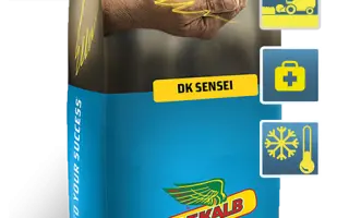 DK Sensei / ДК Сенсей