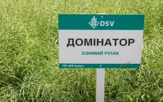 Dominator / Домінатор