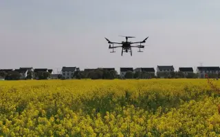 Drone / Дрон