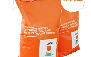 ERNESTO KWS / ЕРНЕСТО КВС