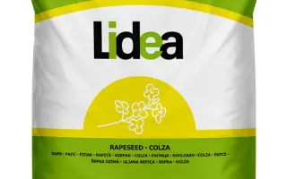 ES CAPELLO / ЕС КАПЕЛЛО