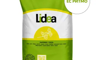 ES Rytmo / ЕС Ритмо