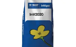 INV 2020 / ІНВ 2020