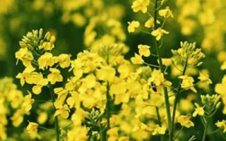 INV1030 / ІНВ1030