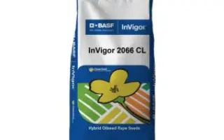 Invigor2066 CL / Інвігор2066 КЛ