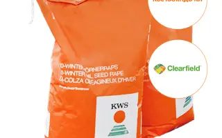 KWS CALINDO CL / КВС КАЛІНДО КЛ