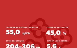KWS CYRILL CL / КВС КИРИЛ КЛ
