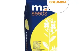 COLUMBIA / КОЛУМБІЯ