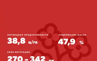 Xenon / Ксенон