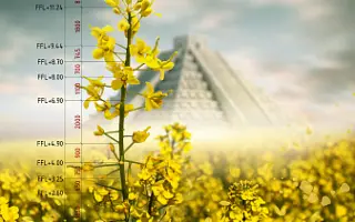 LG AKERMAN / ЛГ АКЕРМАН