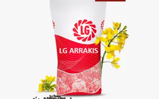LG ARRAKIS / ЛГ АРРАКІС