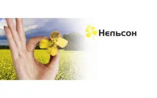 Nelson / Нельсон