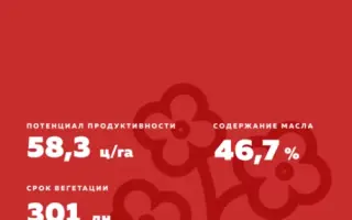 NS Vid / НС Від