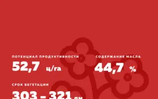 PARCOURS / ПАРКУРС