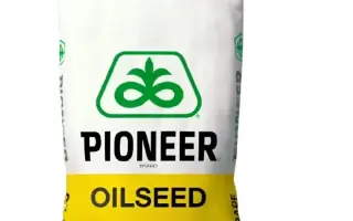 PT279CL / ПТ279КЛ