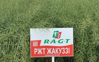 RGT JAKUZZI / РЖТ ЖАКУЗЗІ