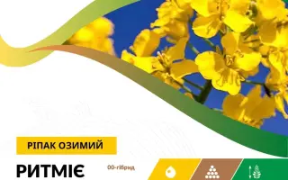 RYTHMIE / РИТМІЄ