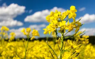 TREZZOR / ТРЕЗЗОР