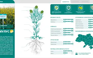 Famulus / Фамулус