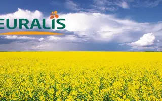 ES ODICE / ЕС ОДІС