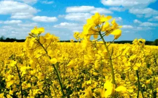 Merano / Мерано