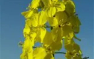 PR45D03 / ПР45Д03