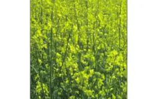 PR46W10 / ПР46В10