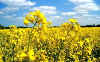 PR46W14 / ПР46В14